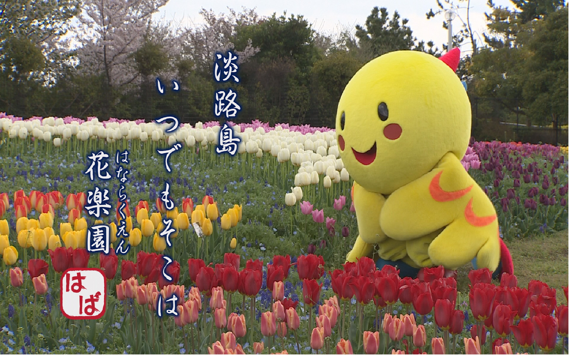 はばタンの壁紙12