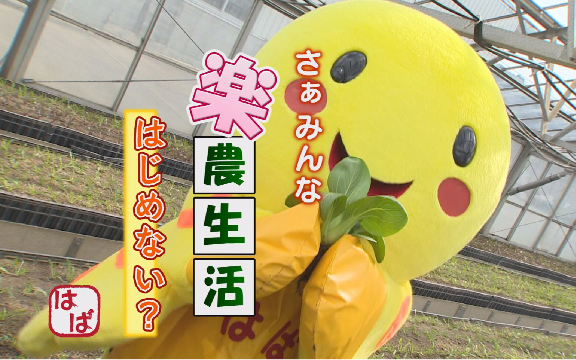 はばタンの壁紙2