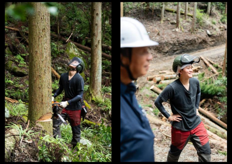 伐採中の木を見上げる様子（左）、作業中に談笑する様子（右）