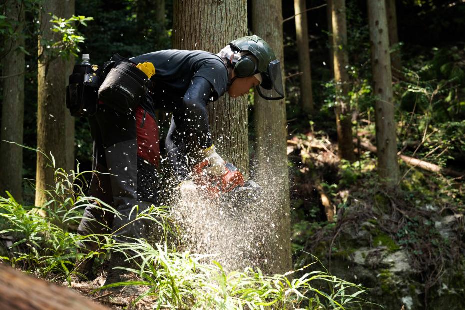 森の中で木を伐る青年