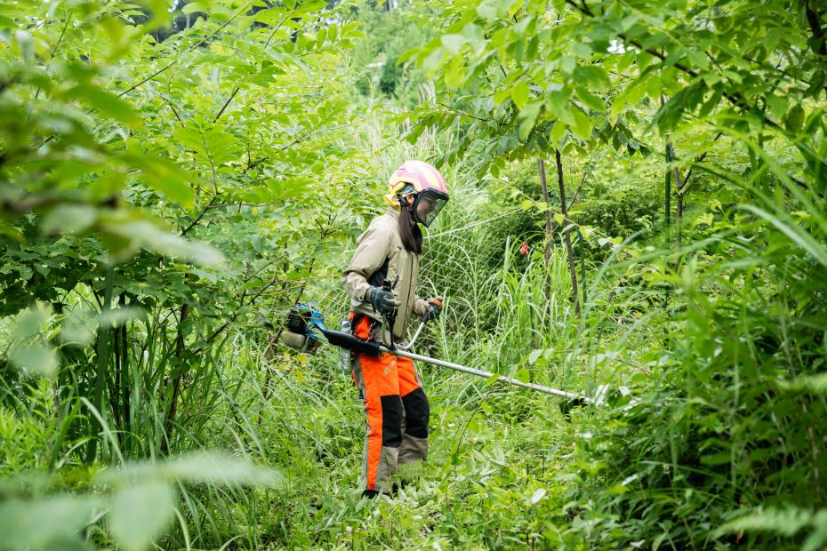 刈り払い機を使った実習