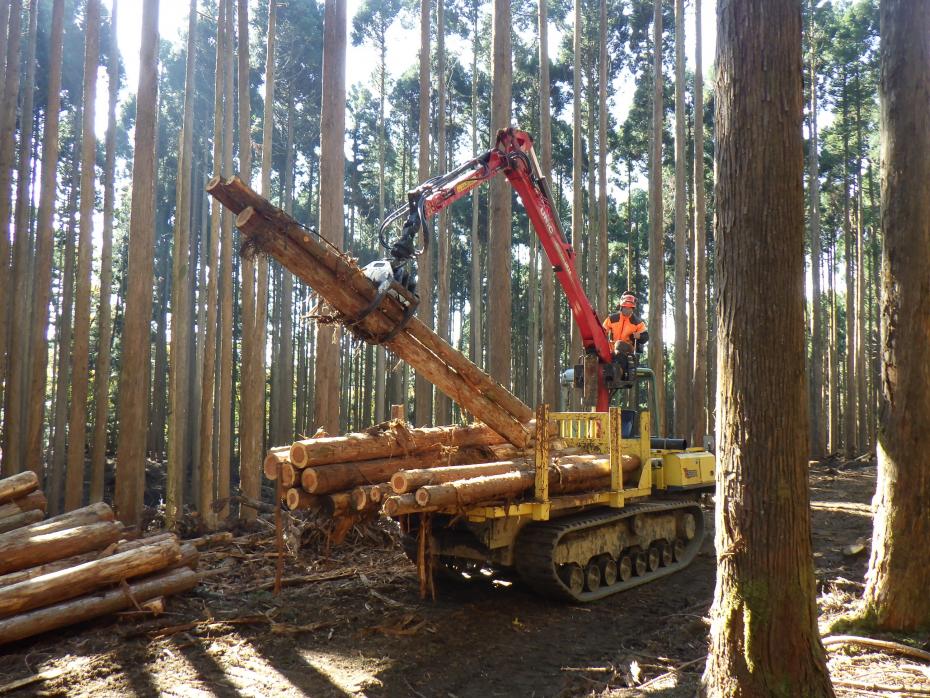 演習林で林業機械実習中の写真