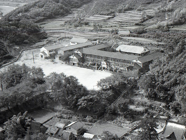 養父小学校の航空写真