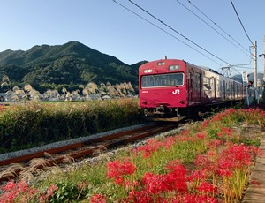 播但線秋の市川を行く