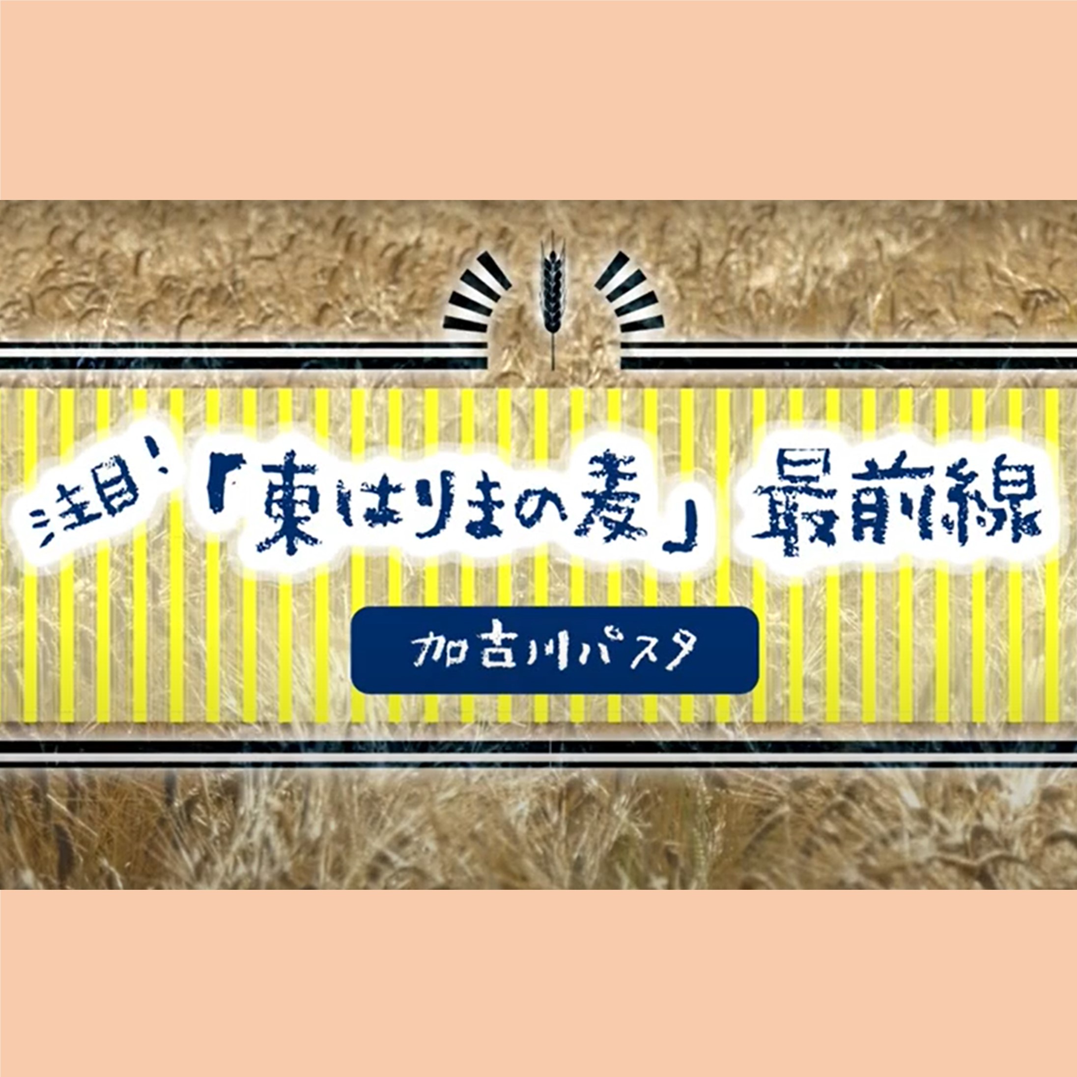 加古川パスタ