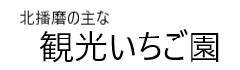 観光いちご園