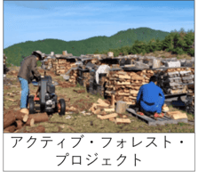 アクティブフォレスト