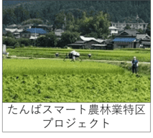 スマート農林業
