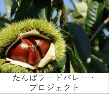 フードバレー