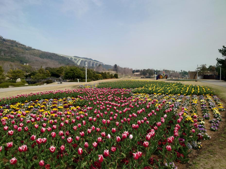 春のカーニバル（淡路島国営明石海峡公園）