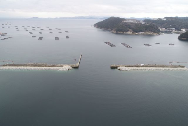 2020年2月26日撮影