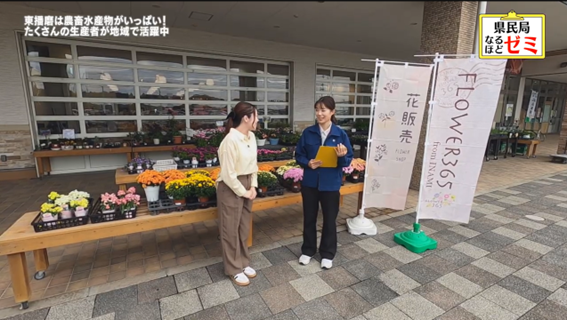 ひがタン！11月放送画面