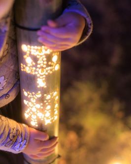 イルミネーション1