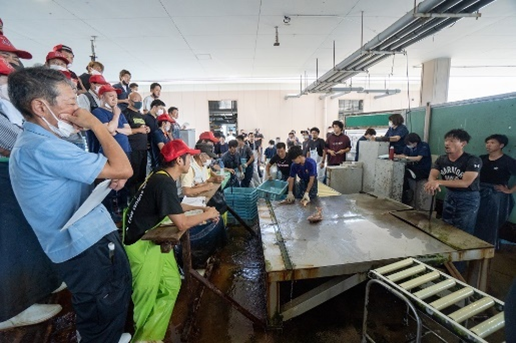 セリ市見学の様子