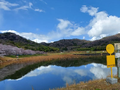 辻堂池（加古川市志方町）と設置されているバス停型のアクセスポイント