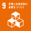 sdgs9no2
