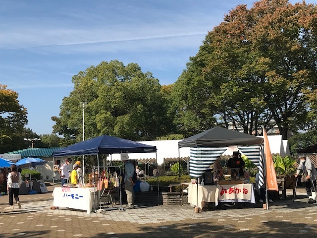 4年西猪名公園２