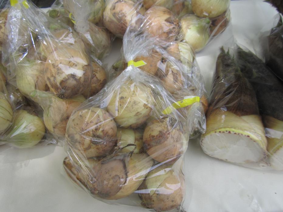 Ｒ5.5西猪名公園ばざーる5