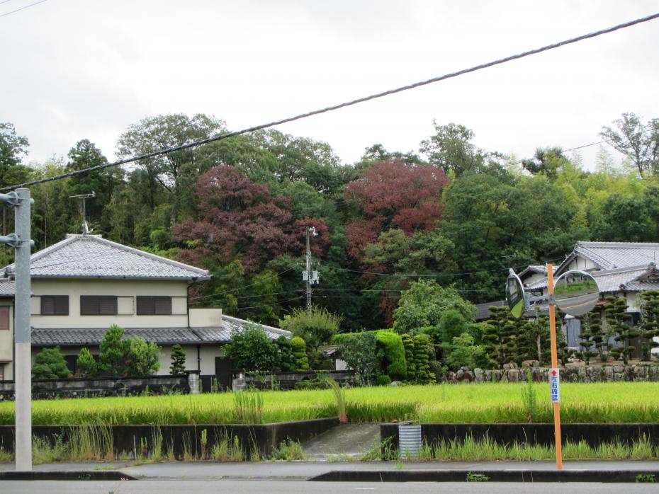 令和元年西宮市