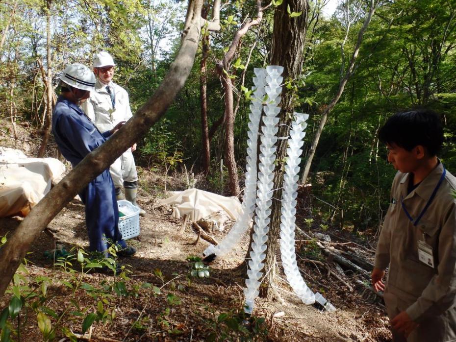 カシナガトラップ