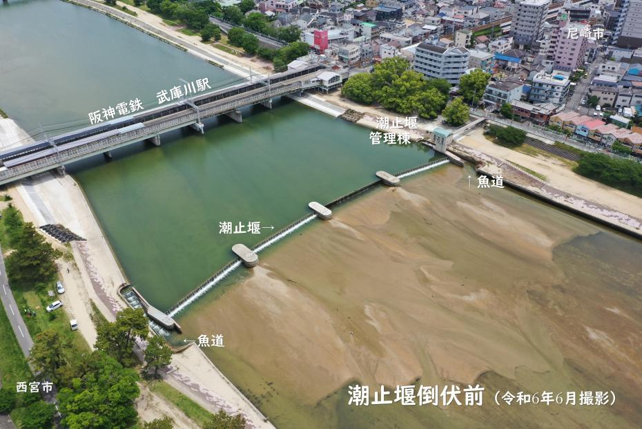 潮止堰転倒前