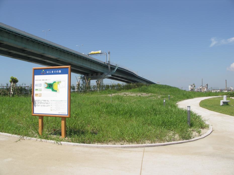 はじまりの森（植栽前）