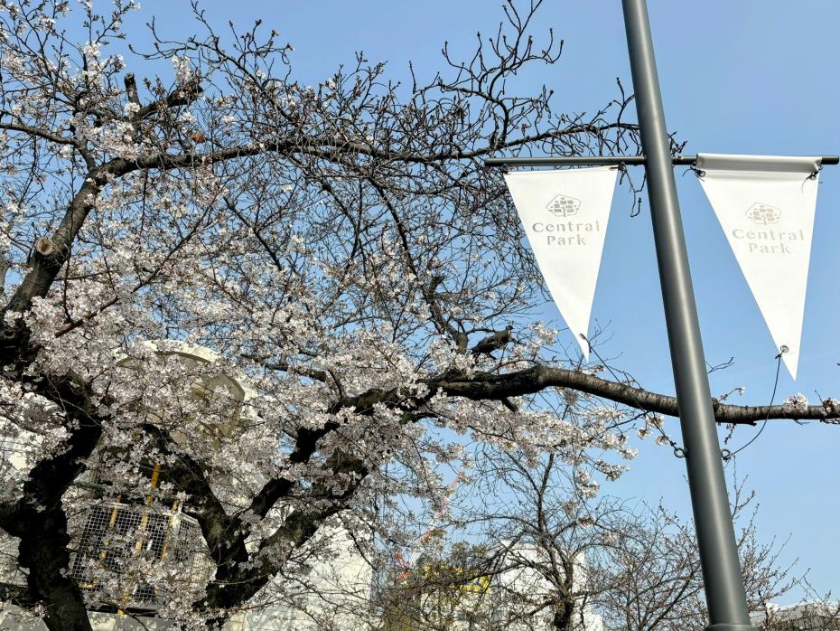 セントラルパーク