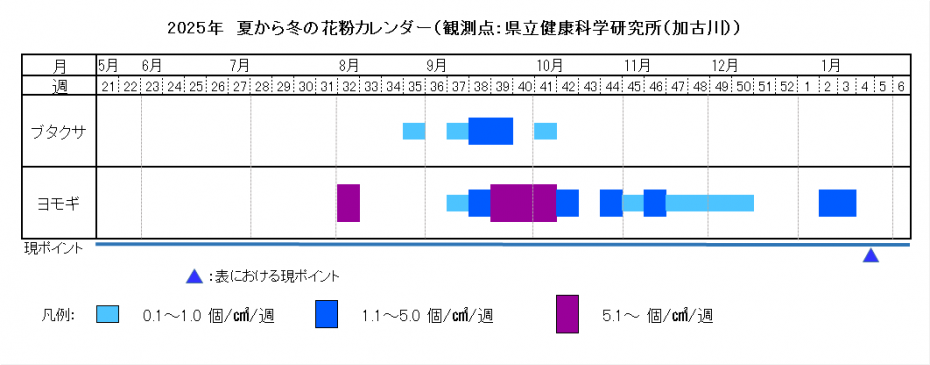 2025夏から冬カレンダー