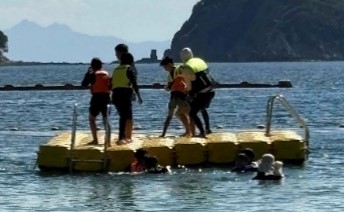 夢ふれあい交流事業