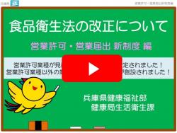 YouTube動画