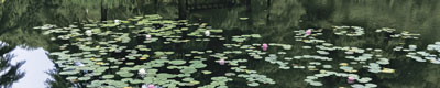 モネの池リンク用