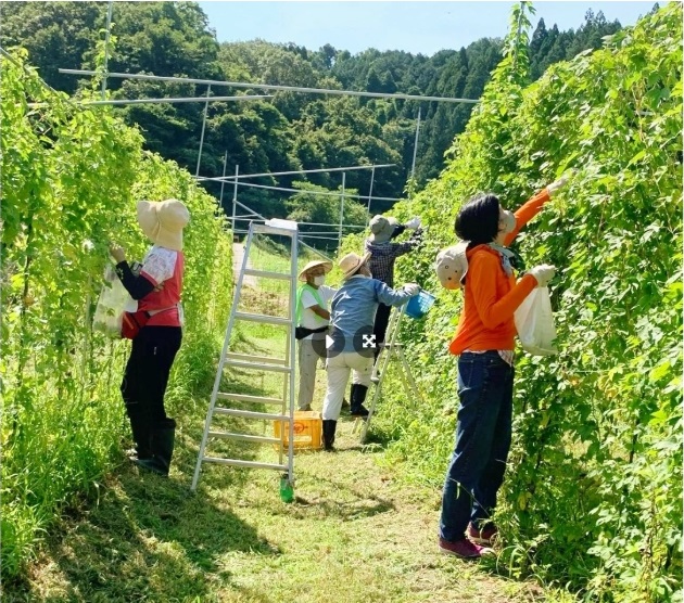 活動写真3