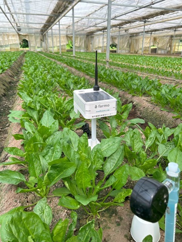 野菜