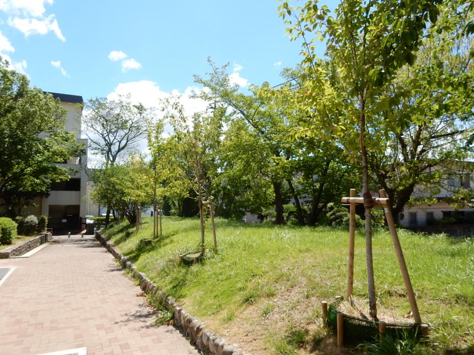 令和2年県まち植栽写真