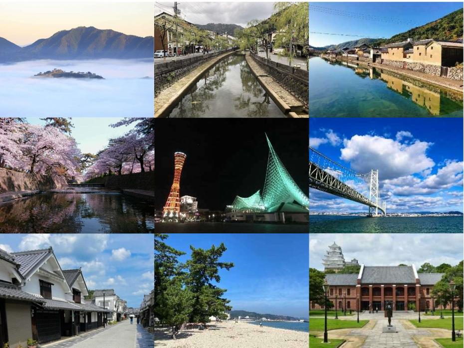 ビューポイント