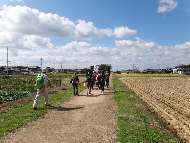 夢街道