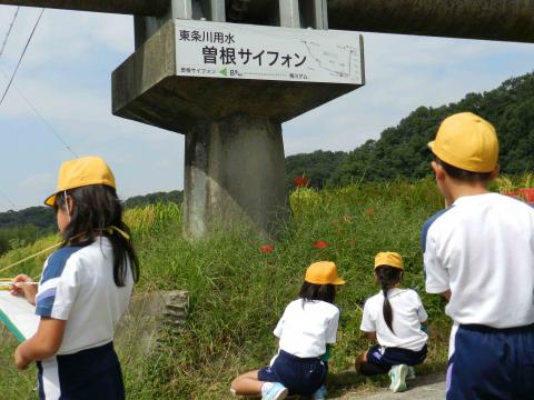 曽根サイフォン