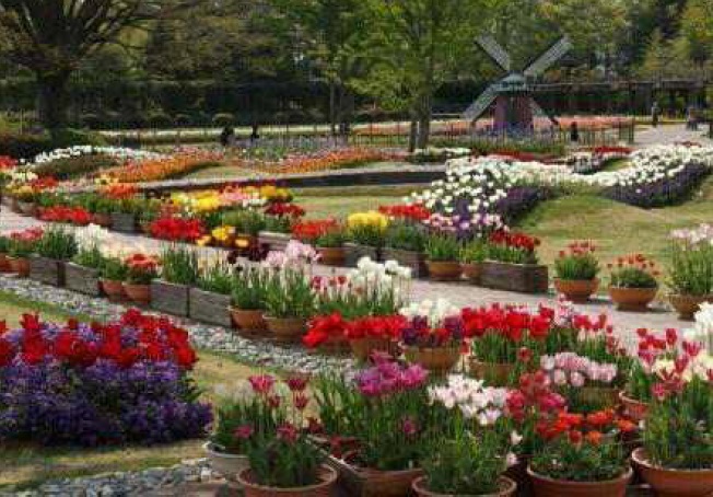 兵庫県立フラワーセンター