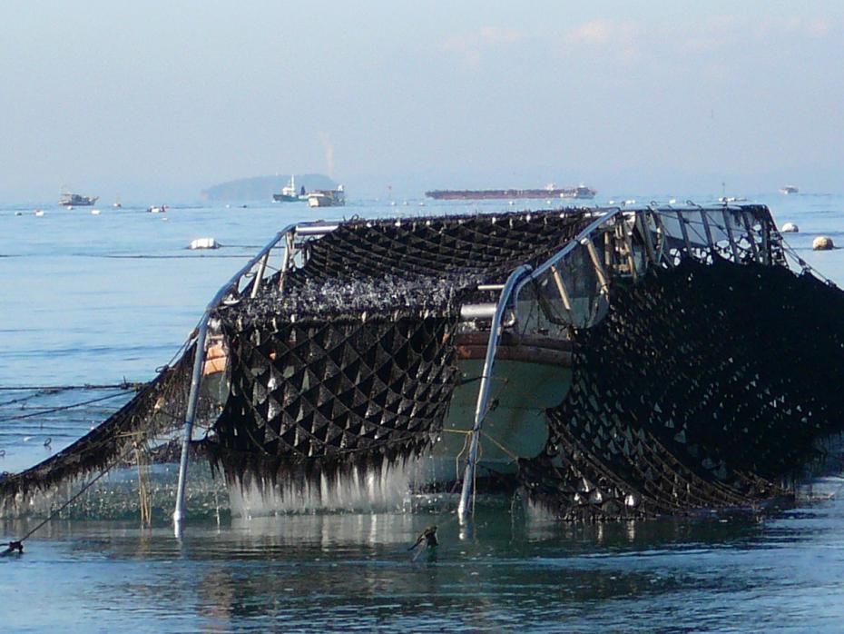 のり養殖