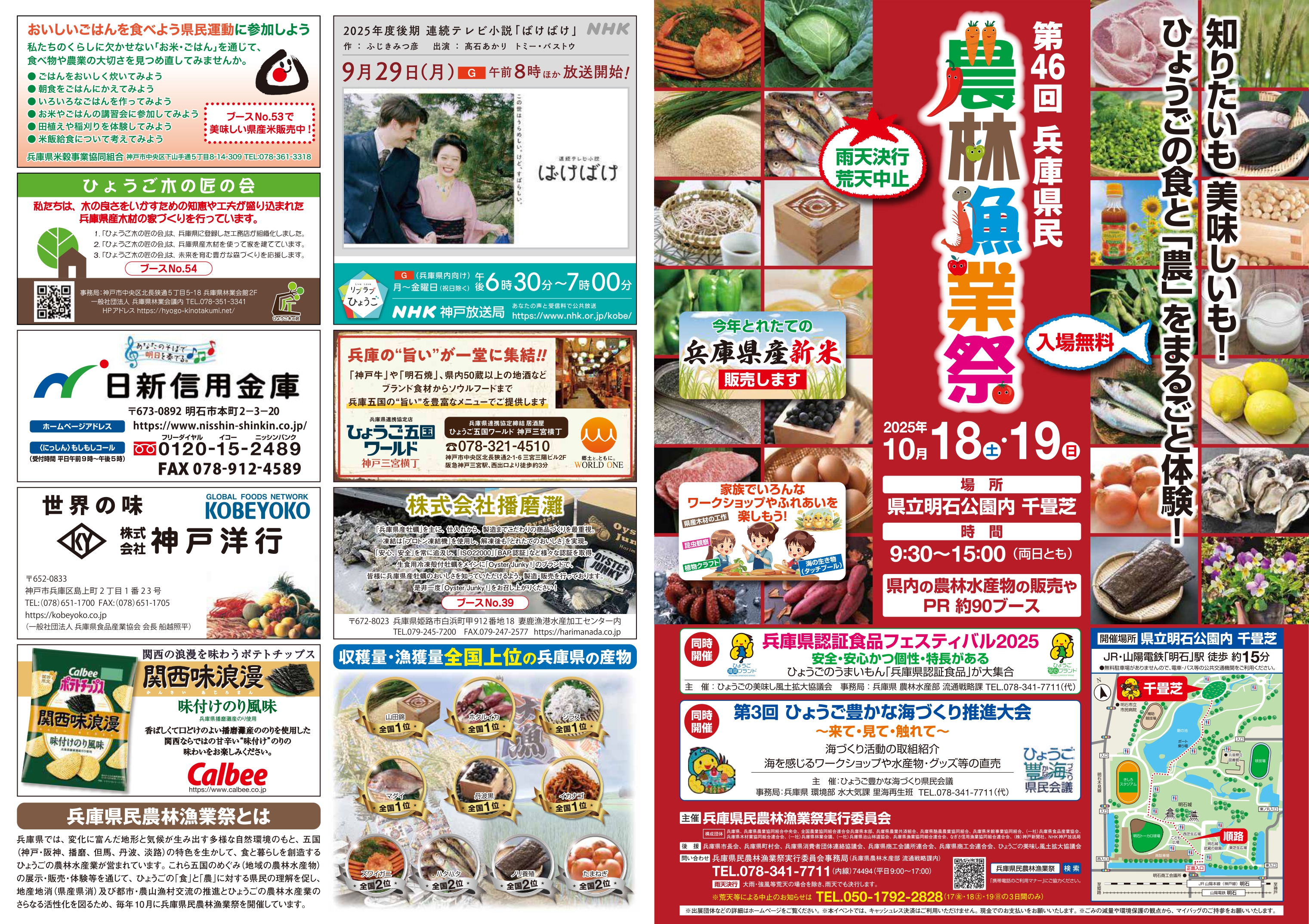 R7チラシ（表）