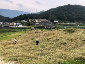 宮垣棚田（草刈り隊）