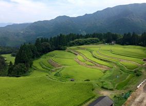 うへ山（全景）