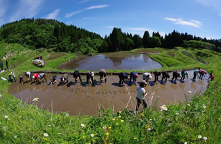 うへ山（農業体験）