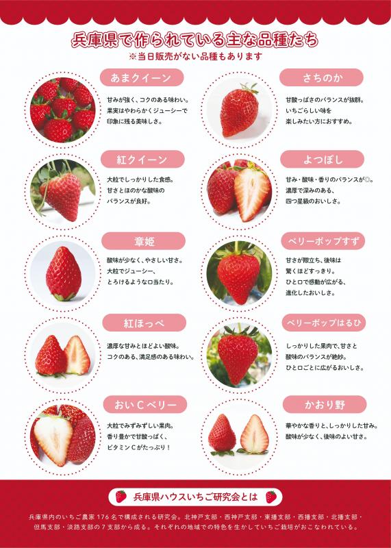 兵庫県産いちご即売会（裏）