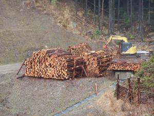 土場整備と利用状況（千ヶ峰・三国岳線10-1）多可町