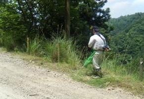 光都農林　草刈りの写真