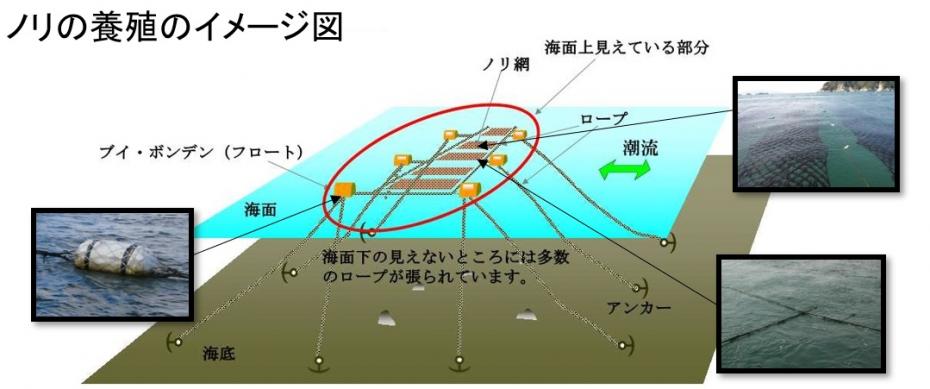 のり養殖施設イメージ図