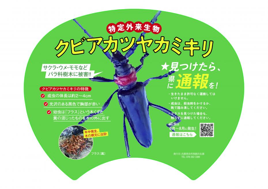 クビアカツヤカミキリうちわ画像データ