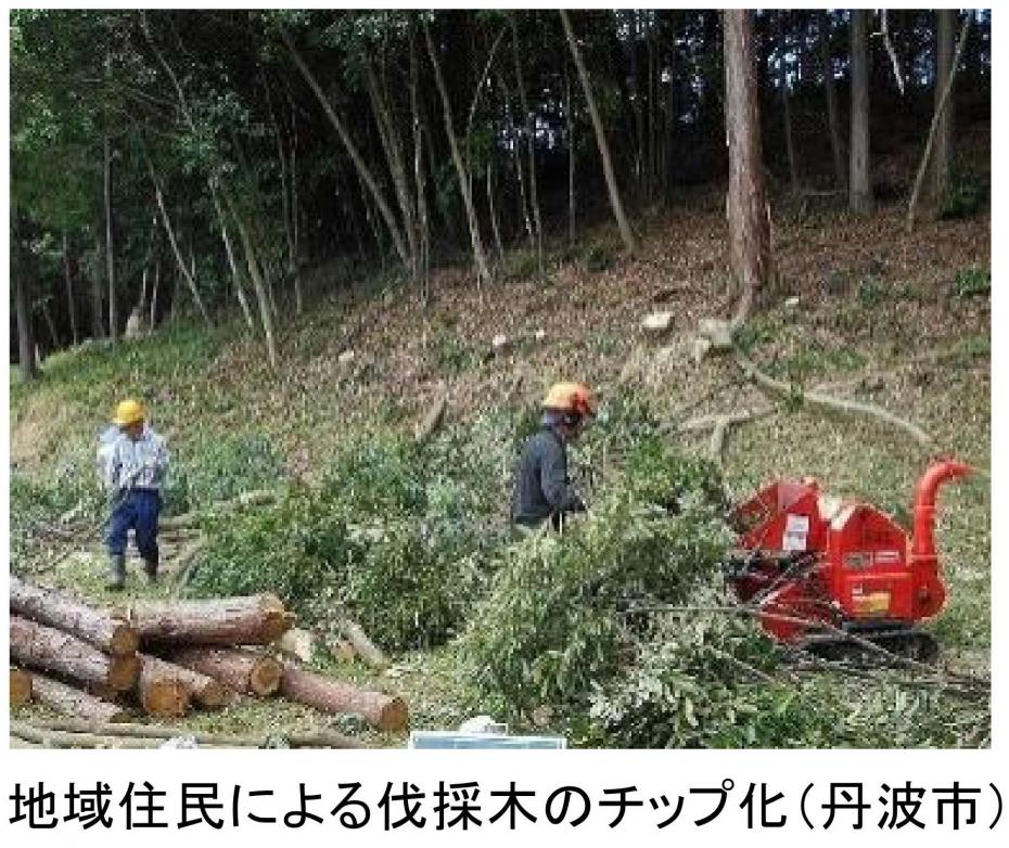 地域住民による伐採木のチップ化（丹波市）