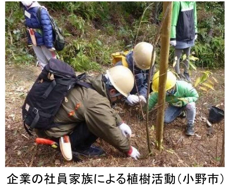 企業の社員家族による植樹活動（小野市）